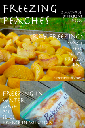 Freezing Peaches: Different Methods, Different Needs from FreshBitesDaily.com