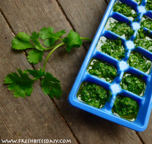 Freezing cilantro with an idea that might knock your socks off!