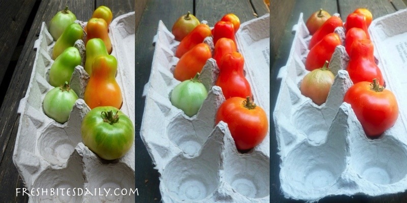 A super simple strategy for ripening your tomatoes