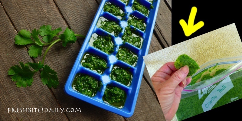 Freezing cilantro with an idea that might knock your socks off!