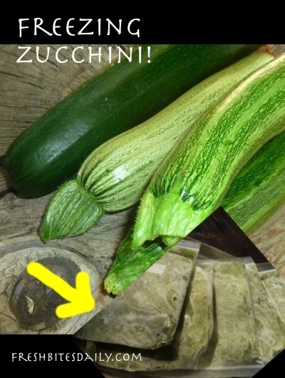 Freezing zucchini with tips on what to do with all of it!