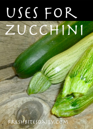 Uses for your mountains of zucchini from FreshBitesDaily.com