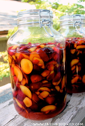 This fermented plum brandy will change the way you think about your fruit trees!
