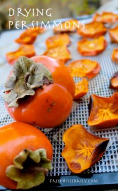 Dry your persimmons in slices and check out how our neighbor dries them ...