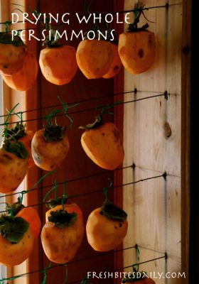 Dry your persimmons in slices and check out how our neighbor dries them ...