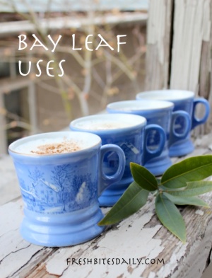 Try some of these bay leaf uses. You'll be amazed.
