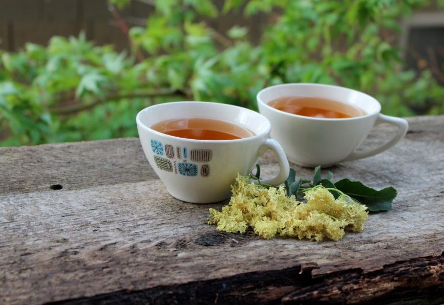Elderflower Tea to Nourish Your Brain, Heart, and Immune System Fresh