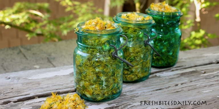 Dandelion Tea For Fluid Retention Blood Pressure Blood Sugar And dandelion-tea-for-fluid-retention-blood-pressure-blood-sugar-and