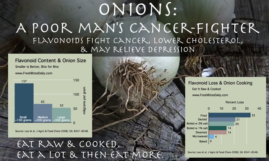 Onions An underappreciated antioxidant food, learn why Fresh Bites Daily