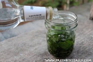 Your new migraine remedy: A simple and inexpensive herbal tincture at FreshBitesDaily.com