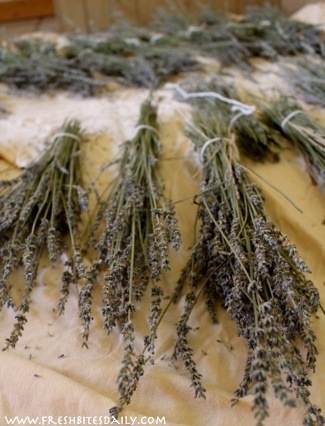 How to dry lavender