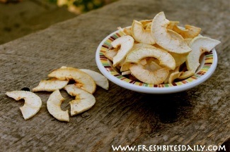 Dehydrating apples is fairly simple, but what apples do you use? How do you find them? Get the details here