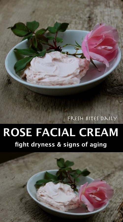 A luxurious homemade rose facial cream to fight off dryness and aging (in a recipe from India)