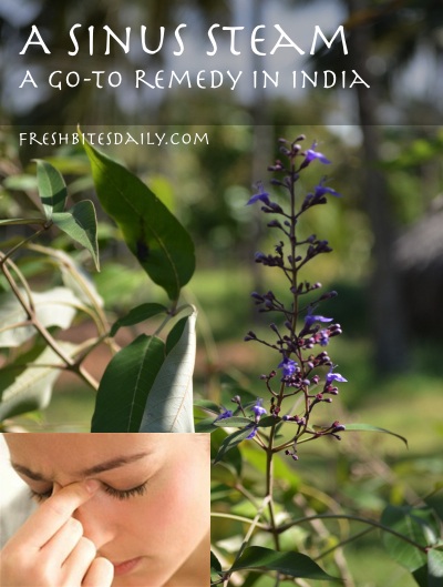 A sinus steam with a special leaf: Go-to sinus relief in India