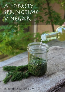 Pine Vinegar Tall 400 214x300 