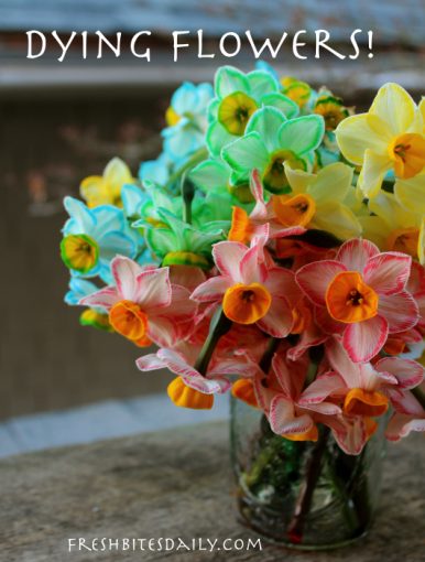 Dye your flowers. A simple, no-fail technique – Fresh Bites Daily
