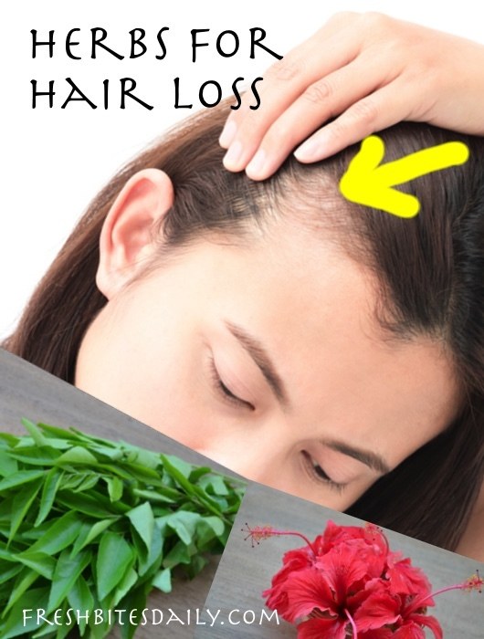 Herbs for Hair Loss – Natural Remedies for Thinning Hair – Fresh Bites ...