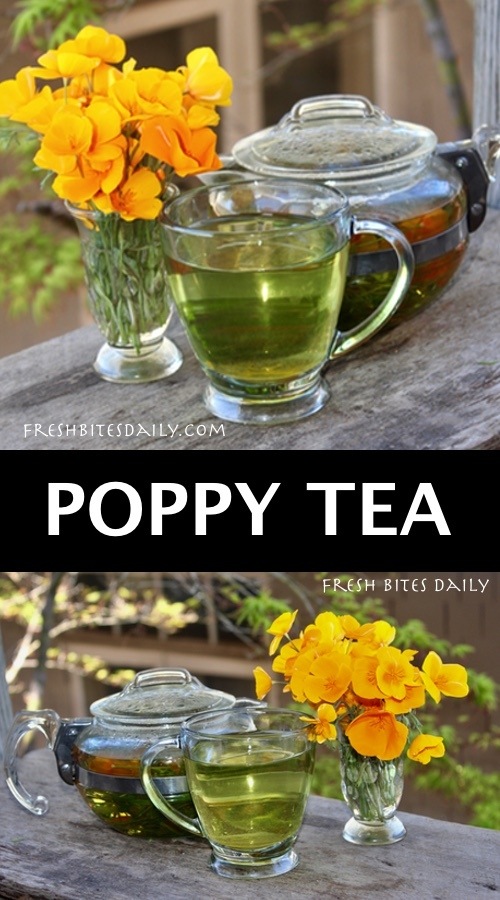 Poppy Tea (Yes, Poppy!) for Insomnia, Anxiety, and Nervousness!